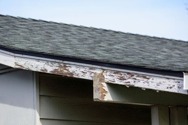 Hilo Wood Rot Repair