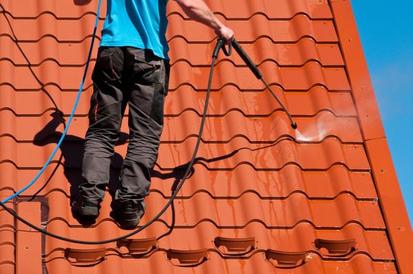 Hilo Roof Cleaning