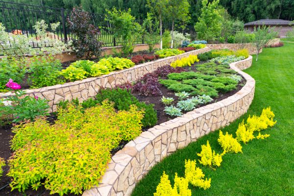 Hilo Landscaping